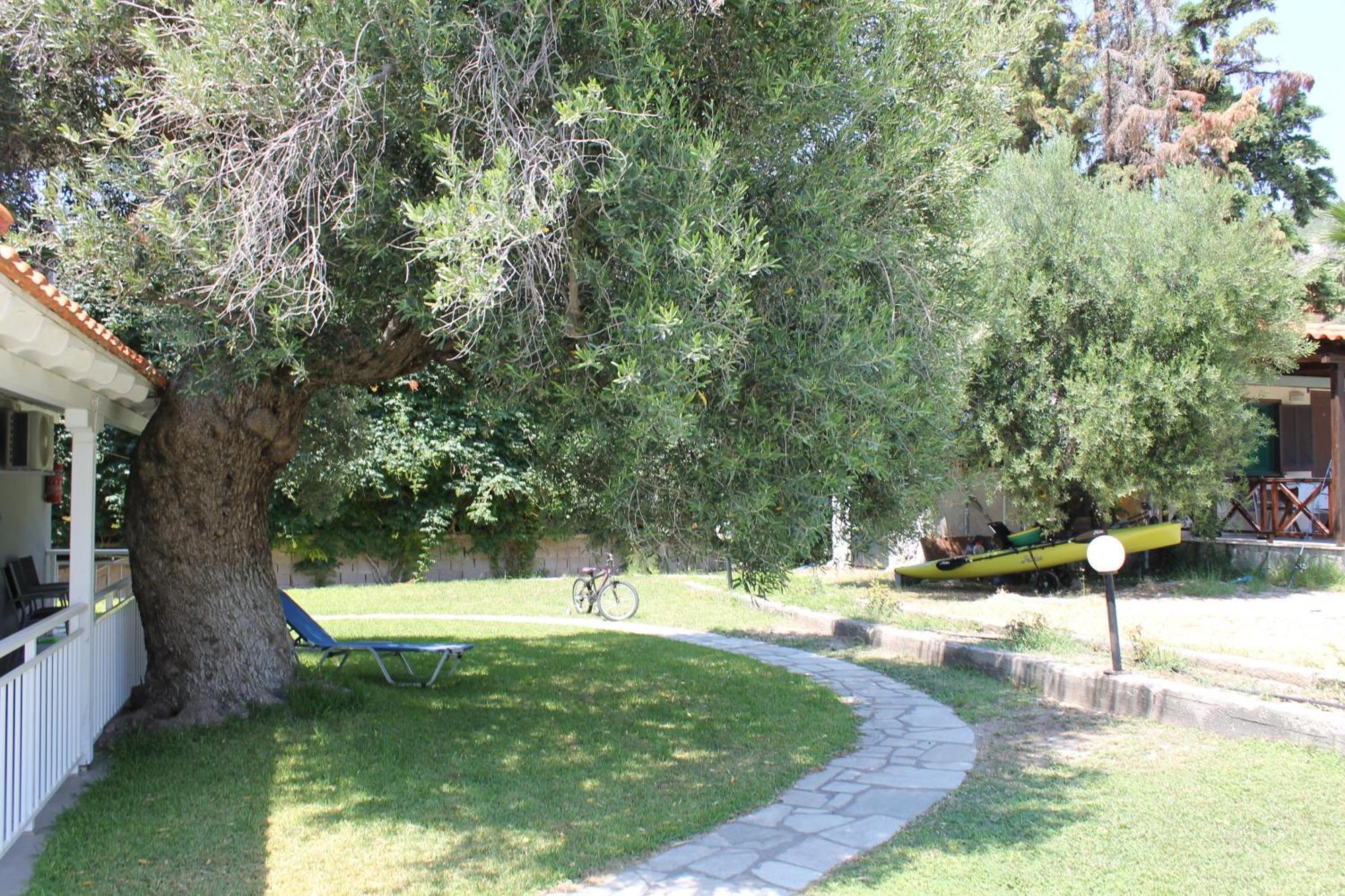 Maria Mola Apartment
